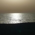 Picture for song 'moonnight' by artist 'MikeSch'