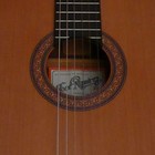 Picture for song 'spanish serenade' by artist 'MikeSch'