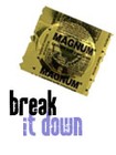 Picture for song 'Break It Down' by artist 'Mikey Fresh'
