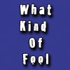 Picture for song 'What Kind Of Fool' by artist 'MkASP'