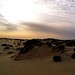 Picture for song 'White Sands' by artist 'Moises Daniel'