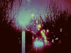 Picture for song 'Summers Lost Warmth' by artist 'MPK (band)'