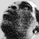 Picture for song 'I get It (free download)' by artist 'Mr Exclusive (YL)'
