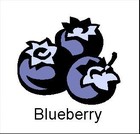 Picture for song 'Blueberry *HIP HOP FIRE!!!* (FREE DOWNLOAD)' by artist 'Mr.Kooman'