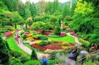 Picture for song '*New* Garden of Eden' by artist 'M.R. Musik'