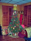 Picture for song 'Santa's Got It Under Control' by artist 'Musicmatty'