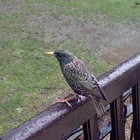 Picture for song ''Weekend'' by artist 'Nadia Cripps'