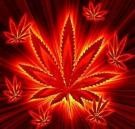 Picture for song 'ALDAY' by artist 'NASTY-BLUNT'