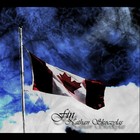 Picture for song 'Fin' by artist 'Nathan Skoczylas'