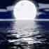 Picture for song 'Meditation' by artist 'Naturez Medicine'