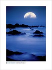 Picture for song 'Moon Over The Rip' by artist 'Navarre'