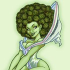 Picture for song 'Be My Mary Jane - Beat' by artist 'Never Say Die 901'