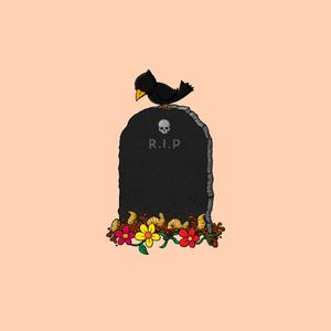 Picture for song 'Funeral' by artist 'Nick Vanelli'