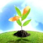 Picture for song 'Brooklyn Garden' by artist 'Nils-Ole Finbak'