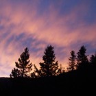 Picture for song 'Nilsys Blues' by artist 'Nils-Ole Finbak'