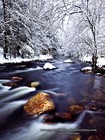 Picture for song 'Winter Rush (Radio Edit)' by artist 'Nrjetik'