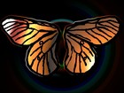 Picture for song 'Wingflaps' by artist 'NSelection'