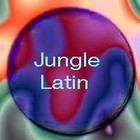 Picture for song 'PSR-180 Electronic Pop- Jungle Latin' by artist 'Numi Who'