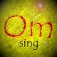 Picture for song 'Om (sing)' by artist 'Numi Who Creative Covers'
