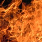 Picture for song 'Burn The Block Down' by artist 'NuSenze'