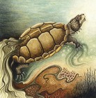 Picture for song 'Muddy Water' by artist 'One Self'