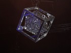 Picture for song 'caringa dance II' by artist 'opacos'