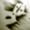 Picture for song 'Nu Com' by artist 'orgastic noises'