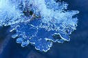 Picture for song 'dusk becomes cold' by artist 'osvid'