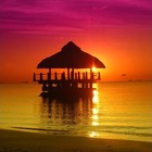 Picture for song 'playa del sol 30$SL/60$PL' by artist 'Outsiders Rechertz'