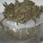 Picture for song 'Salvia Makes The Night & Day Pass Away' by artist 'MF Paladin'