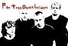 Picture for song 'Drugs Are A Man's Best Friend' by artist 'Palm Tree Death Incident'