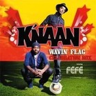 Picture for song '*Raggaton* Waving Flag (Free D INVALID )' by artist 'Paperfall Bros'