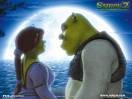 Picture for song 'shrekkk daw!!' by artist 'parhe song'