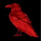 Picture for song 'Operation: Deep November' by artist 'Penguin Bomb'