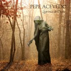 Picture for song 'Lagrimas de Otoño' by artist 'Pepe Acevedo'