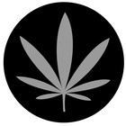 Picture for song 'J'ai besoin d'toi (2009)' by artist 'Pero'