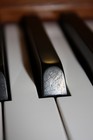 Picture for song 'Piano Opus #010 in C Major' by artist 'Peter Gardner'