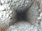 Picture for song 'Duct Work' by artist 'Phanta Sci'