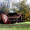 Picture for song 'Springtime Feeling - Guitar Song' by artist 'Philos60'