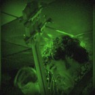 Picture for song 'LV Project - Ain't No Sunshine' by artist 'Phil Wain'