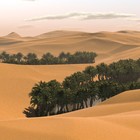 Picture for song 'Desert Verses (1997)' by artist 'Pim van der Steen muziek'