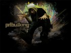 Picture for song 'trompet. for sale $' by artist 'pitbulking beats'