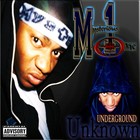 Picture for song 'M1- I put that on tha line' by artist 'PLATINUM GOLD RECORDS'