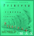 Picture for song 'PRINCESAsiempre aqui' by artist 'PRINCESA x Max'