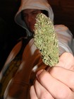 Picture for song 'THE WAY IT'S GOIN DOWN' by artist 'Productionists'