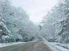 Picture for song 'Cold Day In Winterville' by artist 'Psykosus'