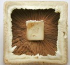 Picture for song 'Deathline (Deep Dark & Dirty Mix)' by artist 'Pumphouse'