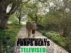 Picture for song 'Televised (R&B / Pop )' by artist 'PURPS BEATS'