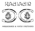 Picture for song 'Got Some Right' by artist 'Radiadio'