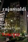 Picture for song 'deux aminetion (tokyo edition)' by artist 'rajamaldi'